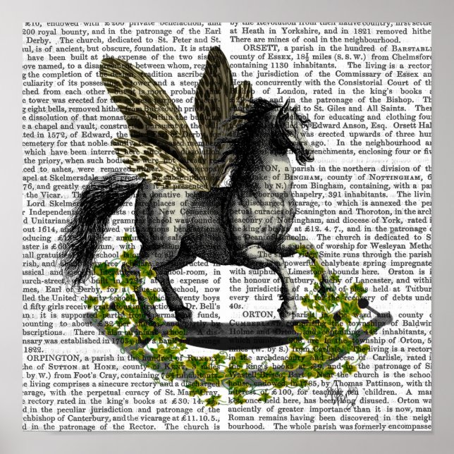 Rocking Horse Fly Poster (Vorne)