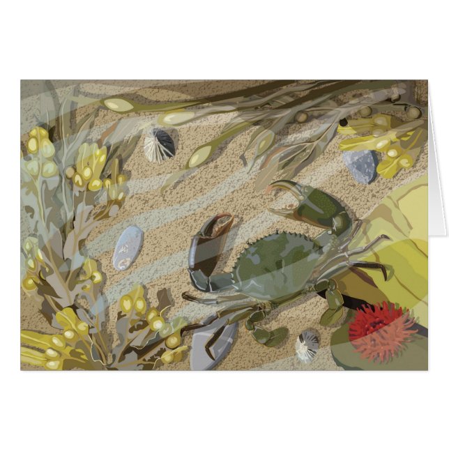 Rockpool (Vorderseite (Horizontal))