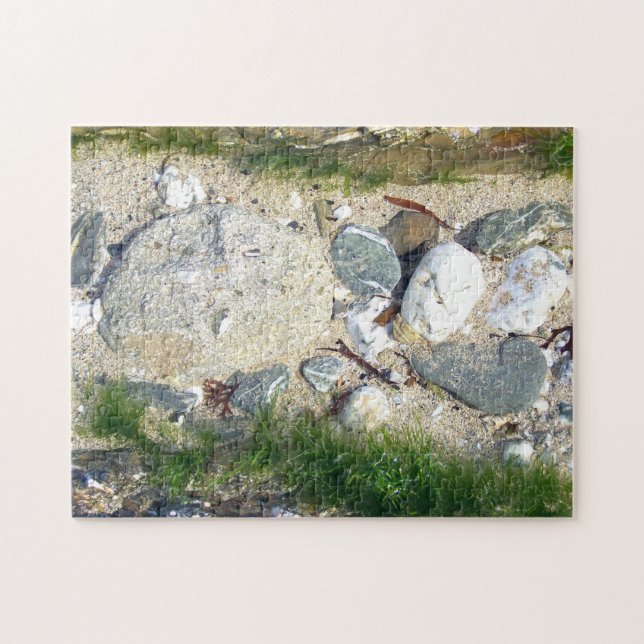 Rockpool Puzzle (Horizontal)