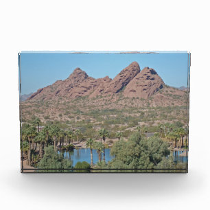 Rocks Arizona Palm Tree Landschaft Foto Wüste