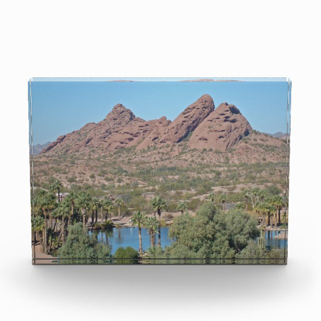 Rocks Arizona Palm Tree Landschaft Foto Wüste (Vorderseite)