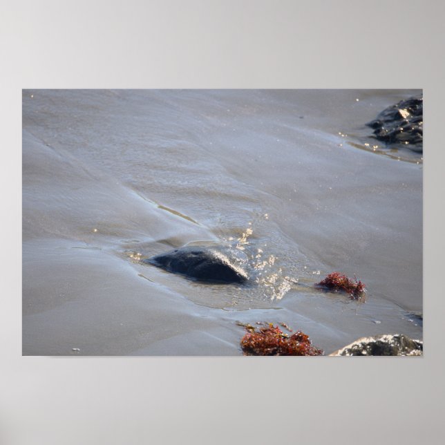 Rocks in the Ocean Poster (Vorne)