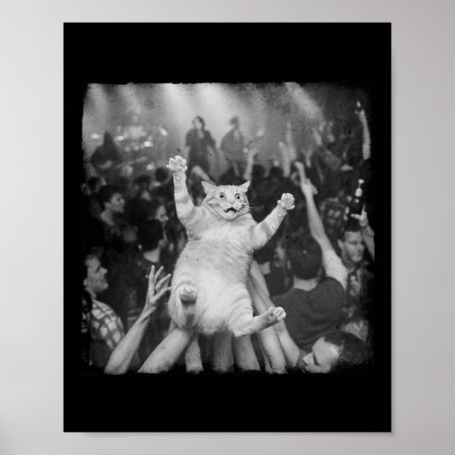 Rockshow-Katzen-Meme Lustiger Humor Tabby-Katze Me Poster (Vorne)