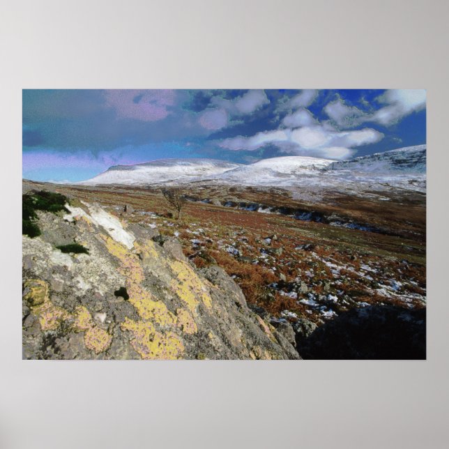 Rocky Field Poster (Vorne)