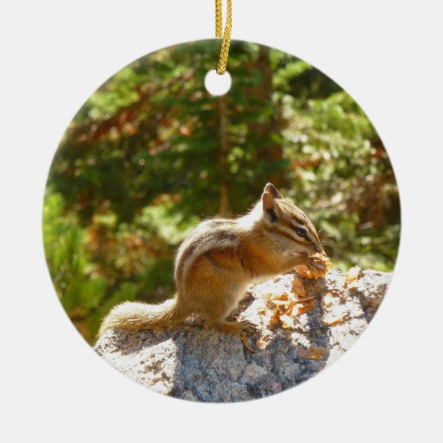 Rocky Mountain Chipmunk Keramik Ornament (Vorne)