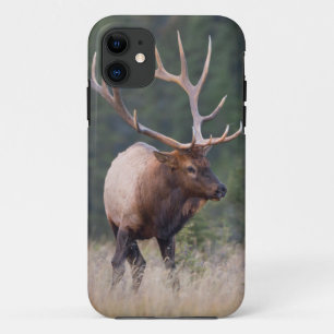 Rocky Mountain Elk Case-Mate iPhone Hülle