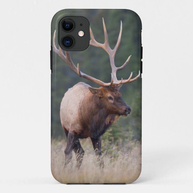 Rocky Mountain Elk Case-Mate iPhone Hülle (Rückseite)