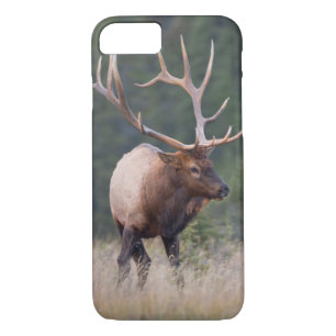 Rocky Mountain Elk Case-Mate iPhone Hülle
