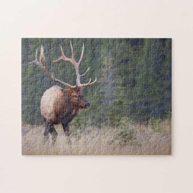 Rocky Mountain Elk Puzzle (Horizontal)