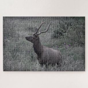 Rocky Mountain Elk - RMNP - 20x30 - 1014 Stk. Puzzle