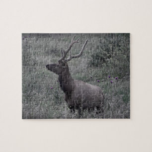 Rocky Mountain Elk - RMNP - 8x10 - 110 pc Puzzle