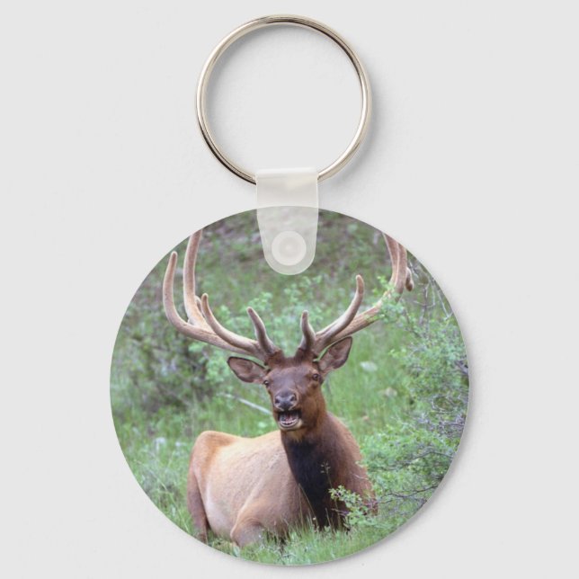 Rocky Mountain Elk Schlüsselanhänger (Vorderseite)