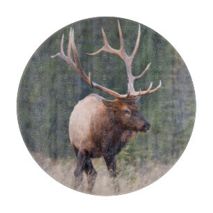 Rocky Mountain Elk Schneidebrett