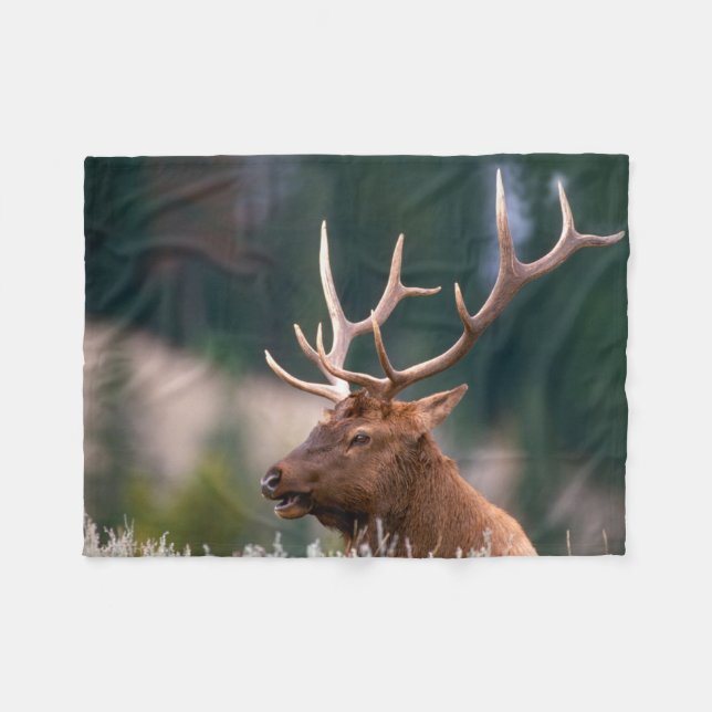 Rocky Mountain Elk Yellowstone Nationalpark Fleecedecke (Vorderseite (Horizontal))