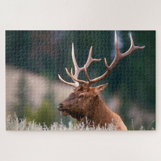 Rocky Mountain Elk Yellowstone Nationalpark Puzzle (Horizontal)