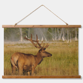 Rocky Mountain Elk | Yellowstone-Nationalpark Wandteppich Mit Holzrahmen