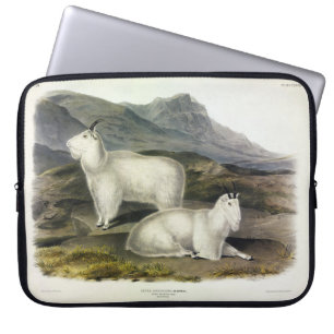 Rocky Mountain Goat (Capra Americana by Audubon Laptopschutzhülle