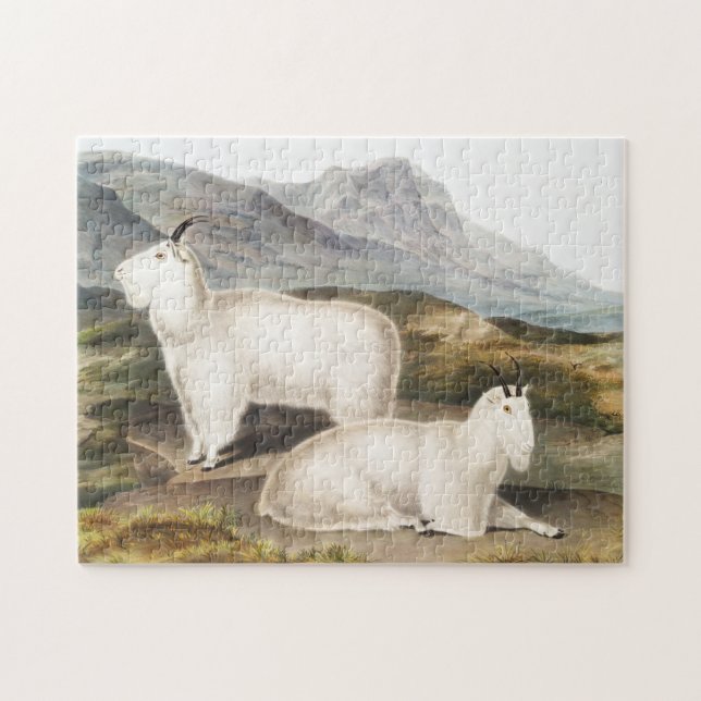 Rocky Mountain Goat (Capra Americana) Illustration Puzzle (Horizontal)