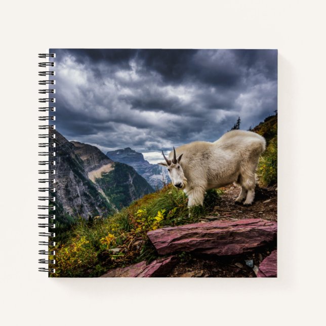 Rocky Mountain Goat Notizbuch (Vorderseite)