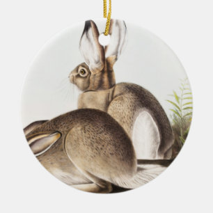 Rocky Mountain Hare (Lepus Townsendii) Keramik Ornament