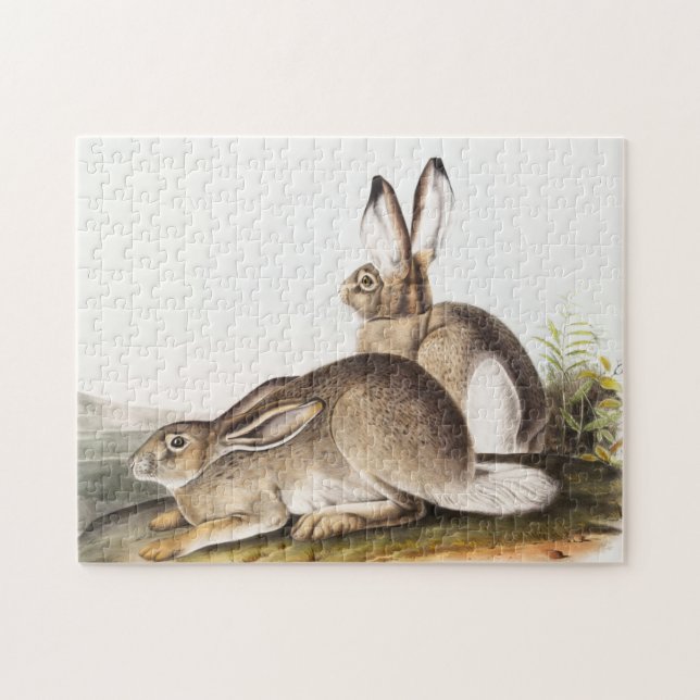 Rocky Mountain Hare (Lepus Townsendii) Puzzle (Horizontal)
