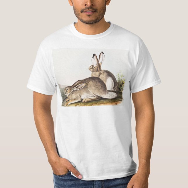 Rocky Mountain Hare (Lepus Townsendii) T-Shirt (Vorderseite)