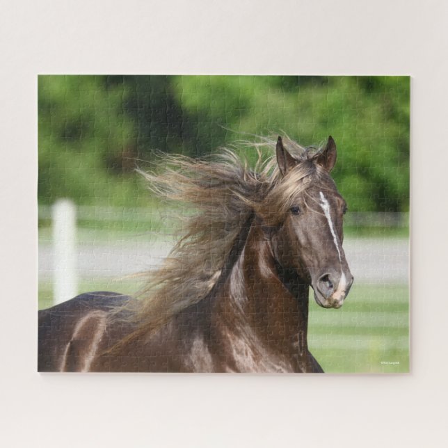 Rocky Mountain Horse Hal Headshot Puzzle (Horizontal)