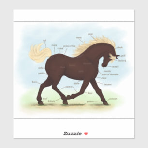 Rocky Mountain Horse Reittier Anatomie Diagramm Aufkleber