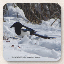 Rocky Mountain Magpie 6 plastische Untersetzer