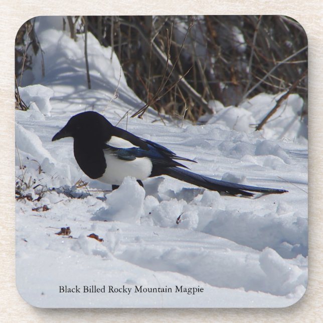 Rocky Mountain Magpie 6 plastische Untersetzer (Vorderseite)