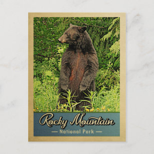 Rocky Mountain Nationalpark Bären Vintag Postkarte