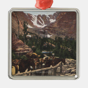 Rocky Mountain Nationalpark, Co Ornament Aus Metall