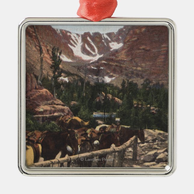 Rocky Mountain Nationalpark, Co Ornament Aus Metall (Vorne)