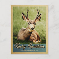 Rocky Mountain Nationalpark Hirsch Vintag