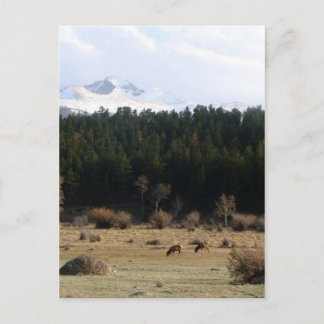 Rocky Mountain Nationalpark Postkarte