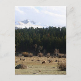 Rocky Mountain Nationalpark Postkarte