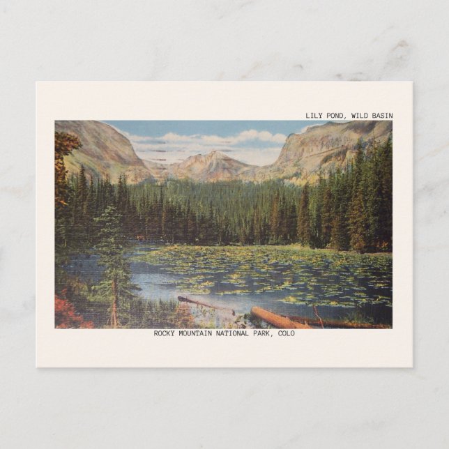 Rocky Mountain Nationalpark Wiles Becken Postkarte (Vorderseite)