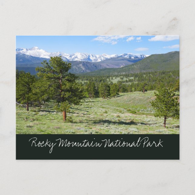 Rocky Mountain View Landschaft Postkarte (Vorderseite)