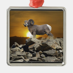 Rocky Mountain Wild Big Horn Sheep & Sunset Silbernes Ornament