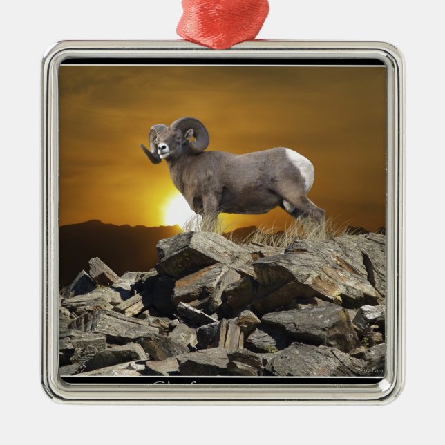 Rocky Mountain Wild Big Horn Sheep & Sunset Silbernes Ornament (Vorne)