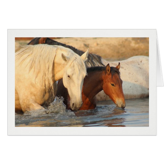 Rocky Mountain Wild Horse und ihr Baby Note Card (Vorderseite (Horizontal))