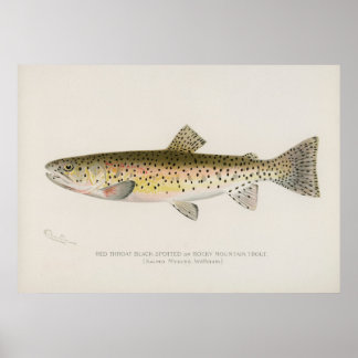 Rocky Mountains Forelle Fische Vintage Kunst Poster