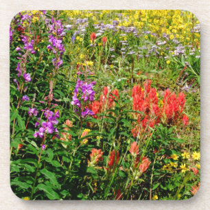 Rocky Mountains-Wildblumen Getränkeuntersetzer