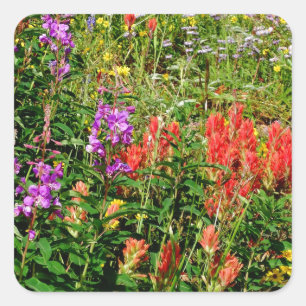 Rocky Mountains-Wildblumen Quadratischer Aufkleber