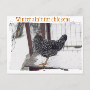 Rocky Postcard Postkarte