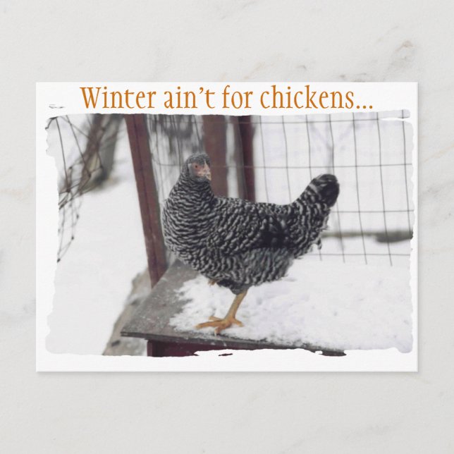 Rocky Postcard Postkarte (Vorderseite)