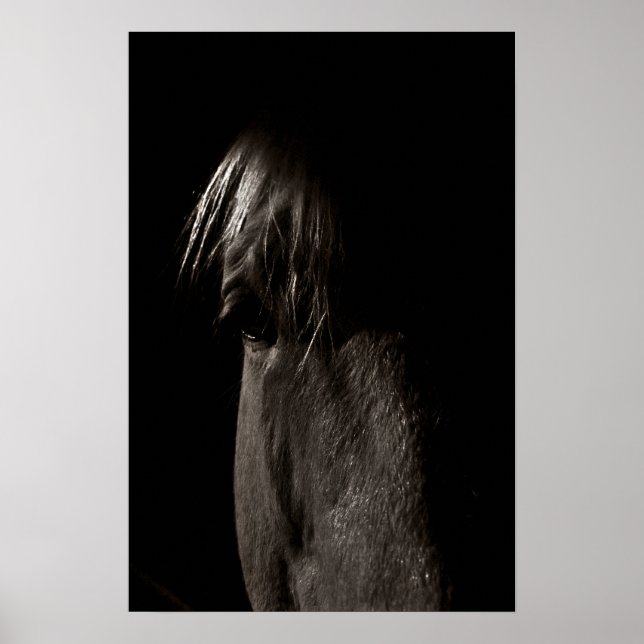 Rocky Poster (Vorne)