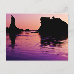 Rocky Reflections - Bandon, Oregon Postkarte