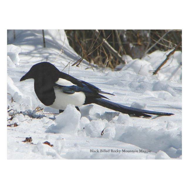 Rocky-Rocky-Mountain-Magpie-Tischdecken Tischdecke (Vorderseite (Horizontal))