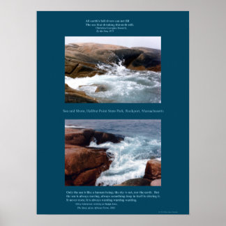 Rocky Shore Poster